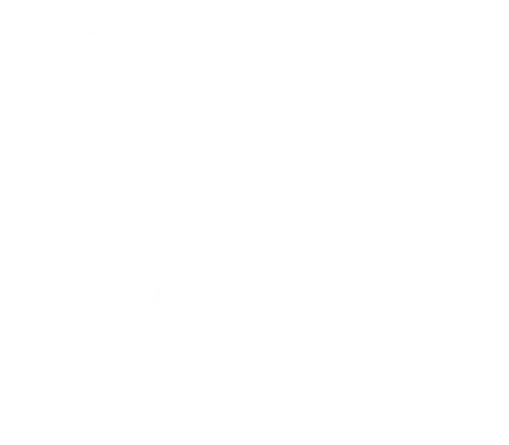 ISS
